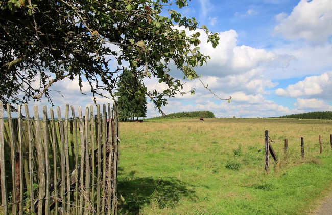 Spacious Country Villa - Foto 51