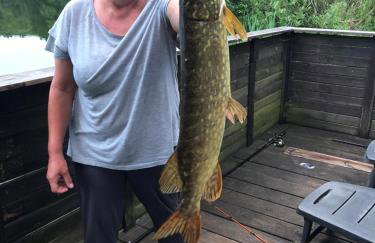 Haus 'am Selliner See-wismar' - Foto 18