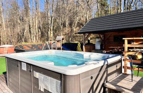 Żabie Dworki Witów Luxury Chalets & SPA - Foto 11