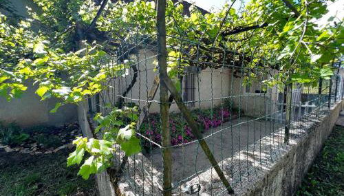 Maison de Famille à Soulier - Foto 1, Other