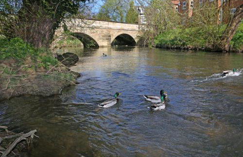 Thirsk Stays - Bakery Cottage - Photo 16