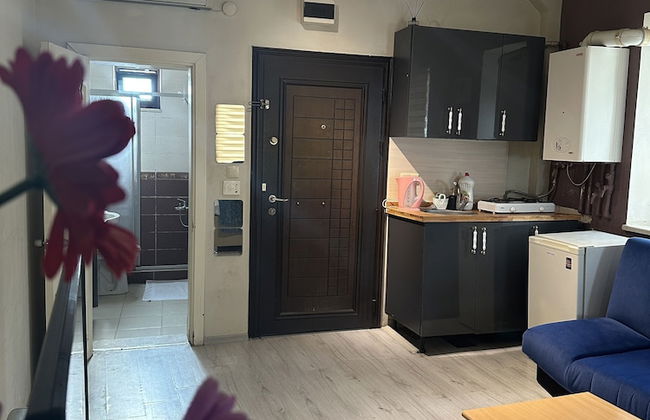 Green Bird Suit - Foto 11