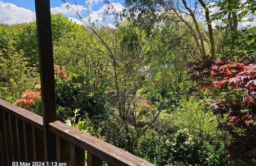 Treetops Lodge, private Cornish hideaway, parking, garden - Foto 56