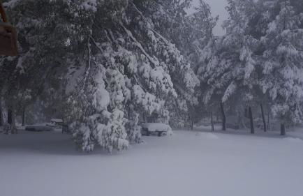 Case de Campo "El Caroche" Alojamientos, Retiros y Eventos - Foto 61