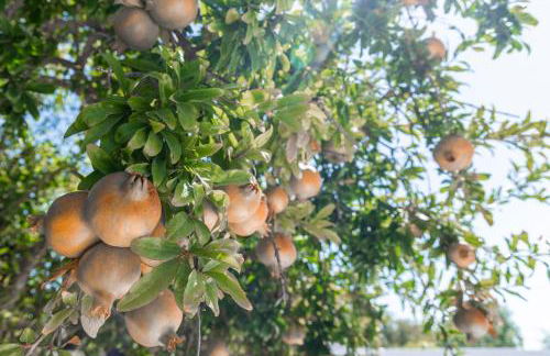 BURGUNDY house - Foto 8