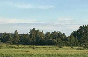 Dzika Plaża Wierzchucino - Foto 20