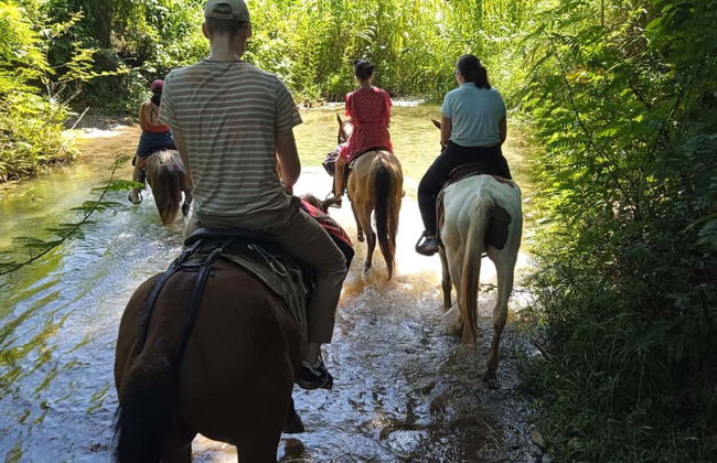 Horse Riding in The Parque El Cubano Natural Park - Foto 11