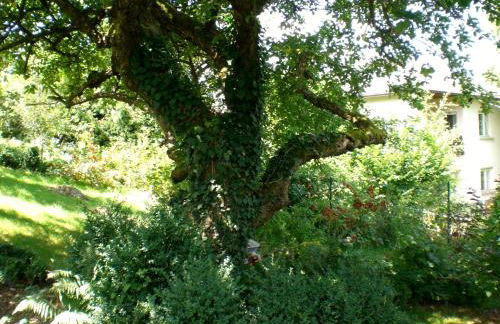 Ferienwohnung Hering in Dill - Foto 73