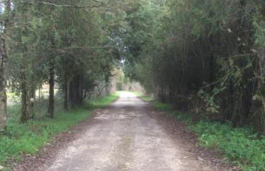 Quinta de Coalhos TH - Foto 8