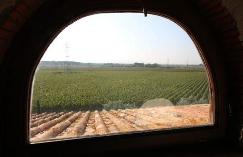 Podere Campo alle Serpi - Foto 66