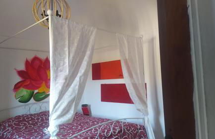 Il sole sopra gli ulivi - Foto 14