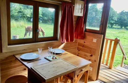 Vue Poneys, 40min Mt St Michel 30min Mer Draps Serviettes Baie Normandie Cottage - Foto 33