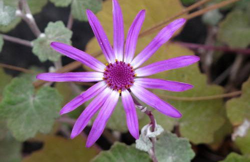 Casa Rural La Cuadra - Foto 28