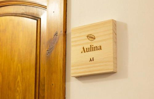 Allotjaments Plaça Major-Aulina - Photo 8