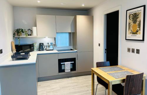 Stylish studio apartment, One Thames Valley - Foto 8