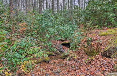 Creekside Family Retreat by Waterfalls and Hiking! - Foto 42