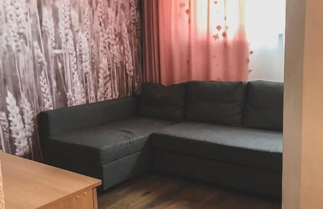 Apartment Vyborg - Foto 14