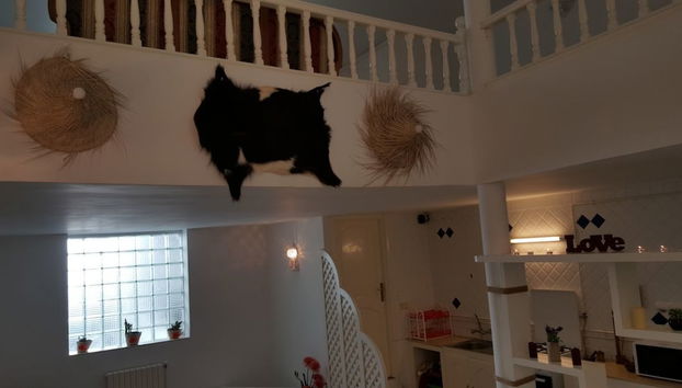 Le Cocon de Marsa Plage - Foto 5, Zona de estar