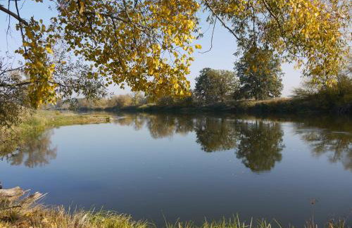 Agroturystyka Polana Harmonii - Foto 46