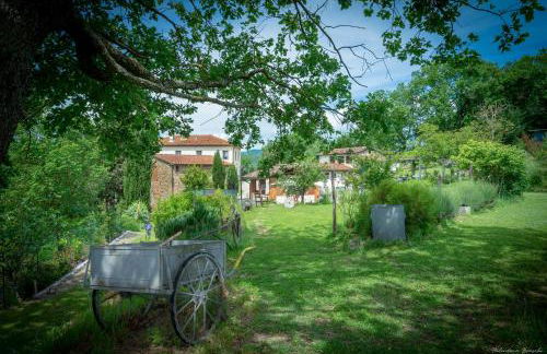 Agriturismo Corzano - Foto 27