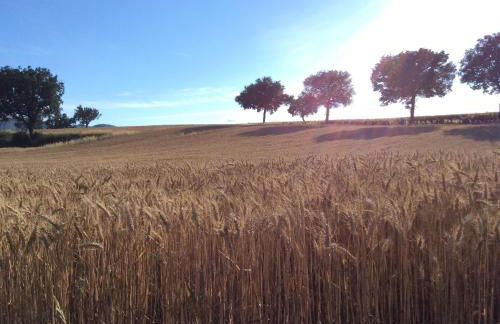 Agriturismo Il Mulino del Vescovo - Foto 41