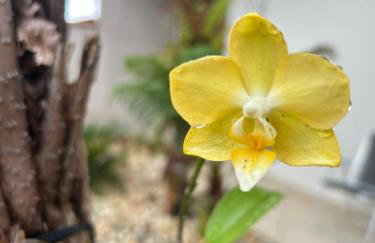 Hospedagem Casa Compacta 02 - Foto 6