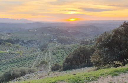 Alojamiento Salas - Foto 23