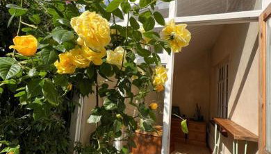 The Sandwich Hideaway - Photo 2