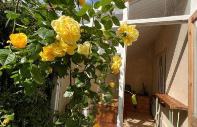 The Sandwich Hideaway - Foto 2