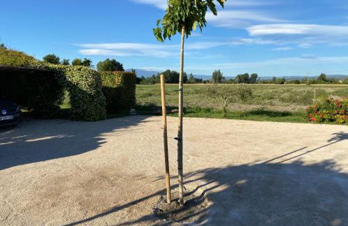 Location gîte campagne en Provence - Vaucluse - Photo 12