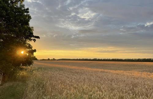 Sonnengelb - Fulgenhaus - Foto 17