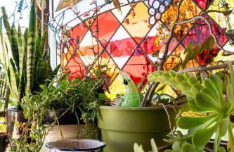 Comfortable Home in San Diego Lemon Grove Area - Foto 16