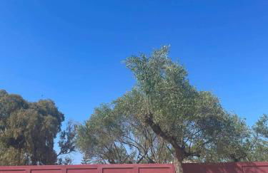 Nissi Collection Rooms - Foto 55