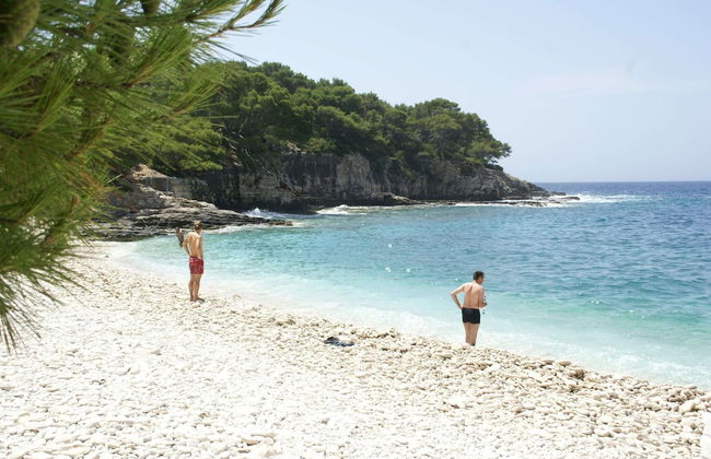 Traditional House With two Apartments - Foto 40