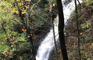 Waterfall Overlook at Bearfoot Falls - Foto 11
