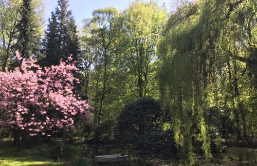 Haus am See - Foto 23