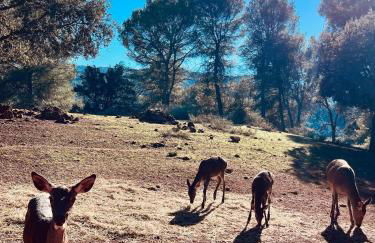 La Casita del Ojuelo - Foto 13