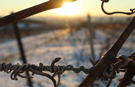 Charmante Ferienwohnung 100 qm - Foto 35