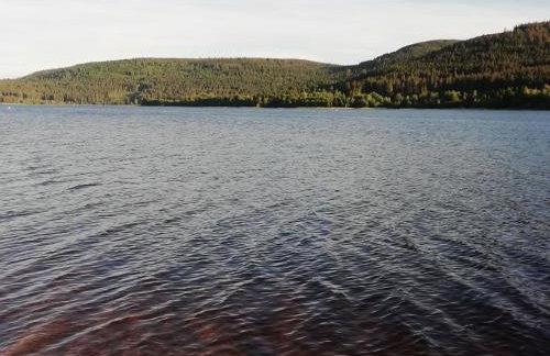 Ferienwohnung Sonnen Strahl - Photo 11