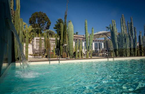 Garden Cactus - Foto 25