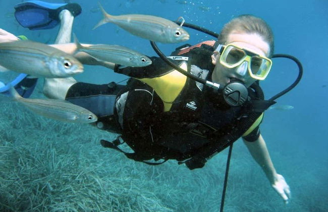 Introduction to Scuba Diving in Alanya - Photo 1