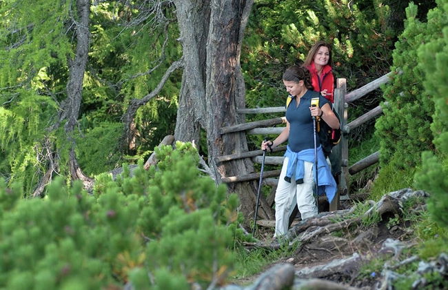 Chalet in Kolbnitz Near Ski Slopes - Photo 19