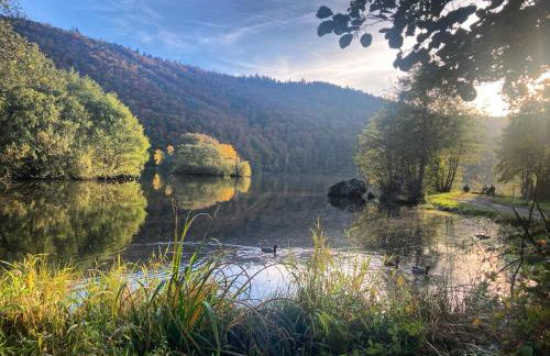 Charmante maison au coeur d'un village auvergnat - Foto 65