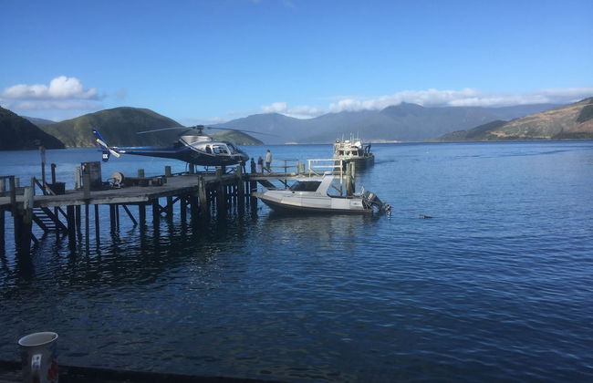 The Lodge At Te Rawa - Boat Access Only - Foto 42