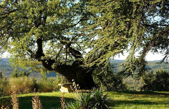 La Chesnaie - Foto 26