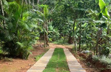 Sítio casa das fadas em Pacoti - Foto 24