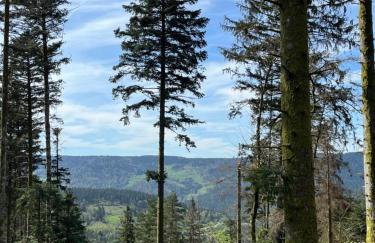 Les Hauts de la Piquante Pierre - Foto 35