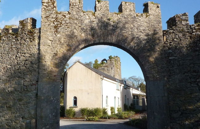 Castlemartyr Mews - Foto 67