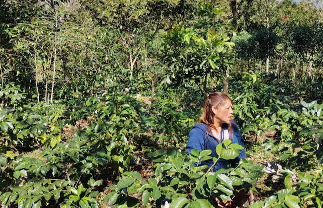 Visite sur le thème du café à Tenejapa + Visite de Romerillo et Cruztón - Photo 7