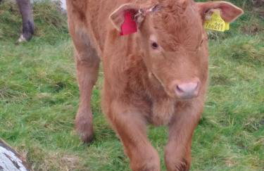 Kims Retreat - Foto 30